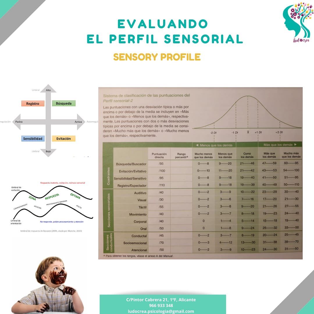 Conocer El Perfil Sensorial De Nuestros Peques – Centro Ludocrea